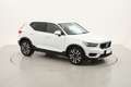 Volvo XC40 D3 Business Plus Geartronic AWD 2.0 Diesel 150CV Bianco - thumbnail 7