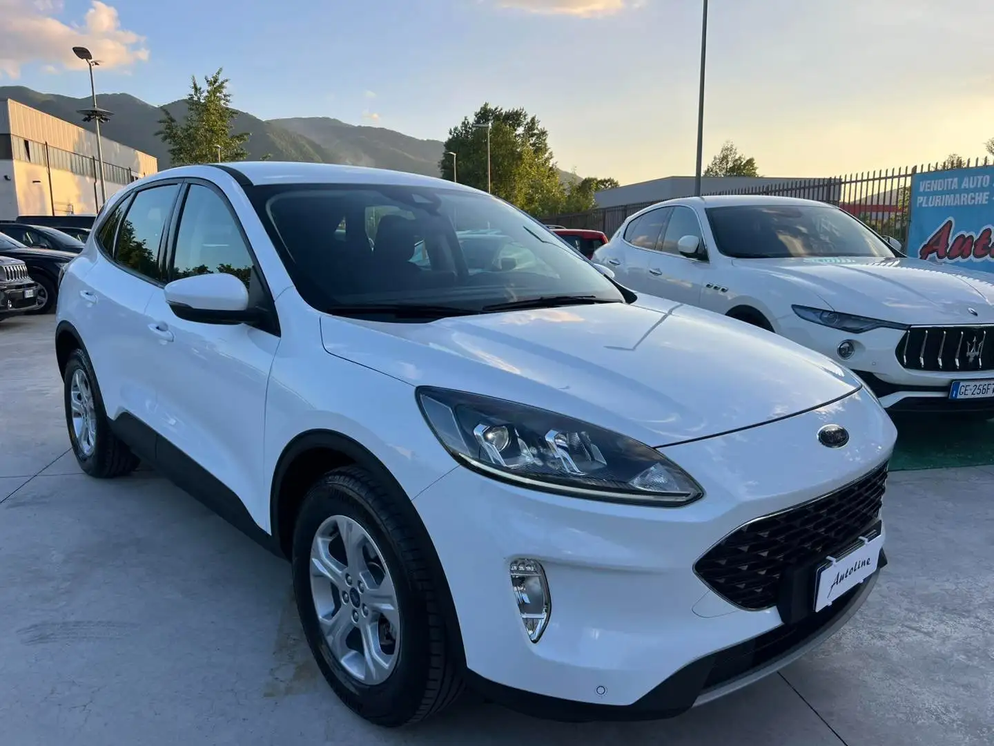 Ford Kuga 1.5 EcoBLUE 120CV -Automatico- Bianco - 1