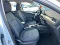Ford Kuga 1.5 EcoBLUE 120CV -Automatico- Bianco - thumbnail 9