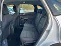 Ford Kuga 1.5 EcoBLUE 120CV -Automatico- Bianco - thumbnail 14