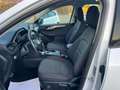 Ford Kuga 1.5 EcoBLUE 120CV -Automatico- Bianco - thumbnail 7