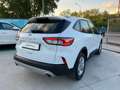 Ford Kuga 1.5 EcoBLUE 120CV -Automatico- Bianco - thumbnail 5