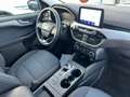 Ford Kuga 1.5 EcoBLUE 120CV -Automatico- Bianco - thumbnail 10
