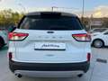 Ford Kuga 1.5 EcoBLUE 120CV -Automatico- Bianco - thumbnail 6