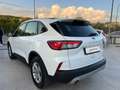 Ford Kuga 1.5 EcoBLUE 120CV -Automatico- Bianco - thumbnail 4
