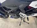 BMW F 900 R SPORT Bianco - thumbnail 8