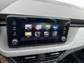 Skoda Scala Selection TSI Weiß - thumbnail 13