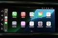 Audi Q3 SPB 35 TFSI S tronic Business Plus ibrido mhev Blanc - thumbnail 35