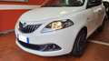 Lancia Ypsilon Ypsilon 1.0 FireFly 5 porte S&S Hybrid Gold Plus Bianco - thumbnail 15