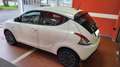 Lancia Ypsilon Ypsilon 1.0 FireFly 5 porte S&S Hybrid Gold Plus Bianco - thumbnail 7
