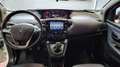 Lancia Ypsilon Ypsilon 1.0 FireFly 5 porte S&S Hybrid Gold Plus Bianco - thumbnail 10