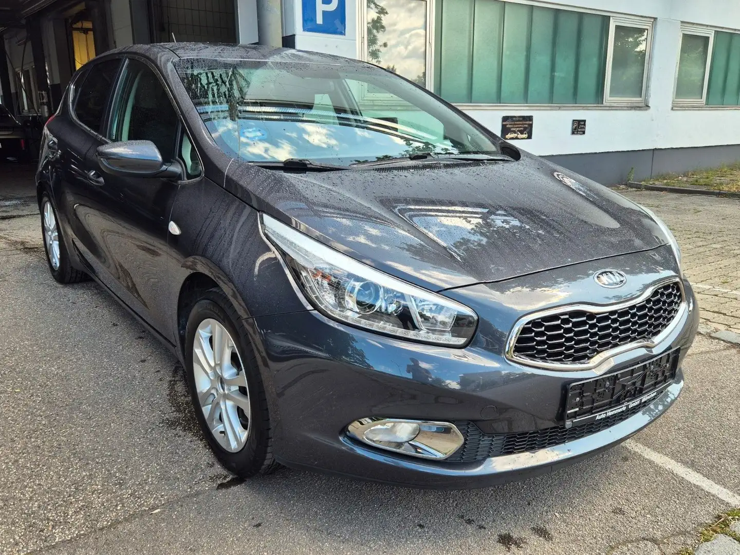 Kia Ceed / cee'd FIFA World Cup Edition Grau - 2