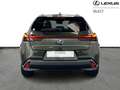 Lexus UX 250h Privilege Line 2WD Grün - thumbnail 6