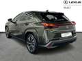 Lexus UX 250h Privilege Line 2WD Grün - thumbnail 3