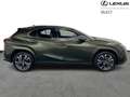 Lexus UX 250h Privilege Line 2WD Grün - thumbnail 16