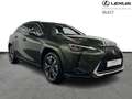 Lexus UX 250h Privilege Line 2WD Grün - thumbnail 18