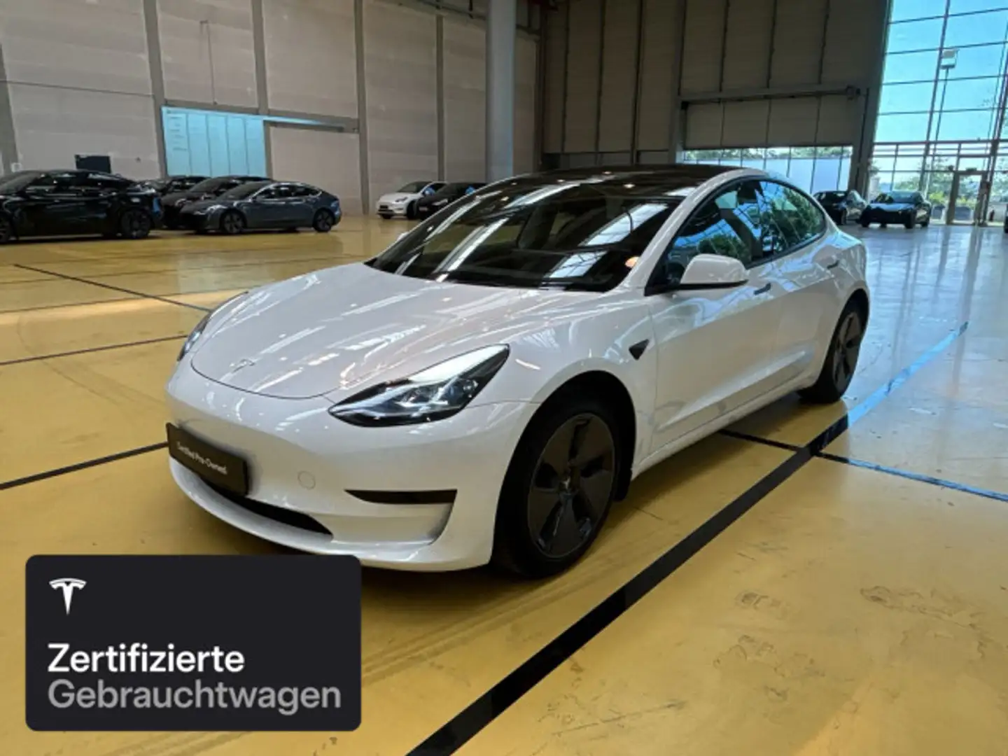 Tesla Model 3 Rear-Wheel Drive Weiß - 1