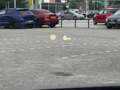 BMW X2 sDrive18i High Executive M Sport Camera Trekhaak 1 Zwart - thumbnail 14