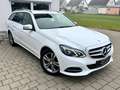 Mercedes-Benz E 200 T*AVANTGARDE*AHK*TEMP*LED*NAVI*PDC*LEDER* Blanc - thumbnail 3