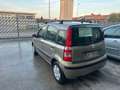 Fiat Panda 1.2 Alessi - thumbnail 2