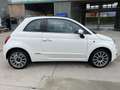 Fiat 500 1.2 Sport 69cv - Di più non c'è !!! Bianco - thumbnail 4
