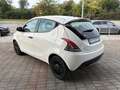 Lancia Ypsilon 1.2 Elefantino Blu 69cv Bianco - thumbnail 4