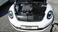 Volkswagen Beetle Beetle 1,6 TDI Sky Design Edition Weiß - thumbnail 30