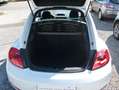 Volkswagen Beetle Beetle 1,6 TDI Sky Design Edition Weiß - thumbnail 29