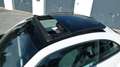 Volkswagen Beetle Beetle 1,6 TDI Sky Design Edition Weiß - thumbnail 9