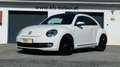 Volkswagen Beetle Beetle 1,6 TDI Sky Design Edition Weiß - thumbnail 1