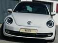 Volkswagen Beetle Beetle 1,6 TDI Sky Design Edition Weiß - thumbnail 10