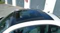 Volkswagen Beetle Beetle 1,6 TDI Sky Design Edition Weiß - thumbnail 6