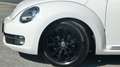 Volkswagen Beetle Beetle 1,6 TDI Sky Design Edition Weiß - thumbnail 17