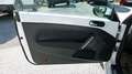 Volkswagen Beetle Beetle 1,6 TDI Sky Design Edition Weiß - thumbnail 21