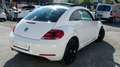Volkswagen Beetle Beetle 1,6 TDI Sky Design Edition Weiß - thumbnail 15