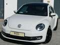 Volkswagen Beetle Beetle 1,6 TDI Sky Design Edition Weiß - thumbnail 5