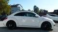 Volkswagen Beetle Beetle 1,6 TDI Sky Design Edition Weiß - thumbnail 14