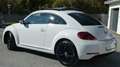 Volkswagen Beetle Beetle 1,6 TDI Sky Design Edition Weiß - thumbnail 16
