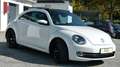 Volkswagen Beetle Beetle 1,6 TDI Sky Design Edition Weiß - thumbnail 12