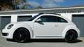 Volkswagen Beetle Beetle 1,6 TDI Sky Design Edition Weiß - thumbnail 18