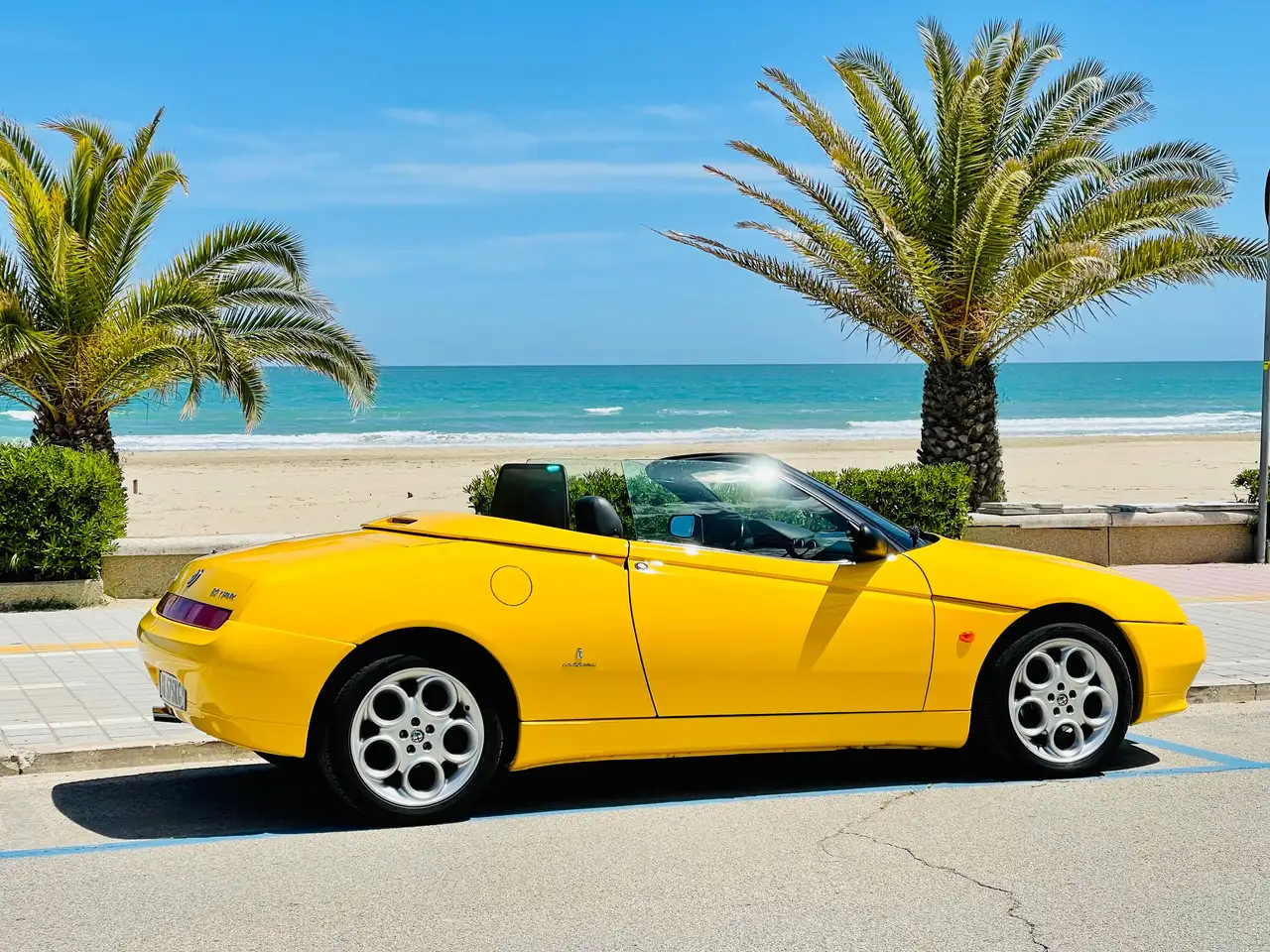 Alfa Romeo Spider Limited, foto 4