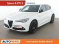 Alfa Romeo Stelvio 2.2 JTDM Veloce Q4 Aut*NAVI*XENON*ACC*CAM*PDC*SHZ* Weiß - thumbnail 1