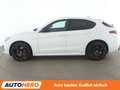 Alfa Romeo Stelvio 2.2 JTDM Veloce Q4 Aut*NAVI*XENON*ACC*CAM*PDC*SHZ* Weiß - thumbnail 3