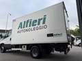 Iveco Daily 60C15 Frigo FRCX -20°C Dic 2027 ATP E6B kg 2560 Blanc - thumbnail 7
