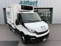 Iveco Daily 60C15 Frigo FRCX -20°C Dic 2027 ATP E6B kg 2560 Blanc - thumbnail 1