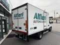 Iveco Daily 60C15 Frigo FRCX -20°C Dic 2027 ATP E6B kg 2560 Blanc - thumbnail 5