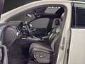 Audi Q7 3.0 TDI QUAT*S-LINE*BLACK*PANO*7-SITZ*AHK*ACC Blanc - thumbnail 8