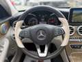 Mercedes-Benz C 220 C 220 BlueTEC Exklusive A-Edition Plus Aut. Silber - thumbnail 29