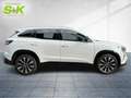 Renault Austral Techno Mild Hybrid 160 Automatik *LHZ*** Bianco - thumbnail 5