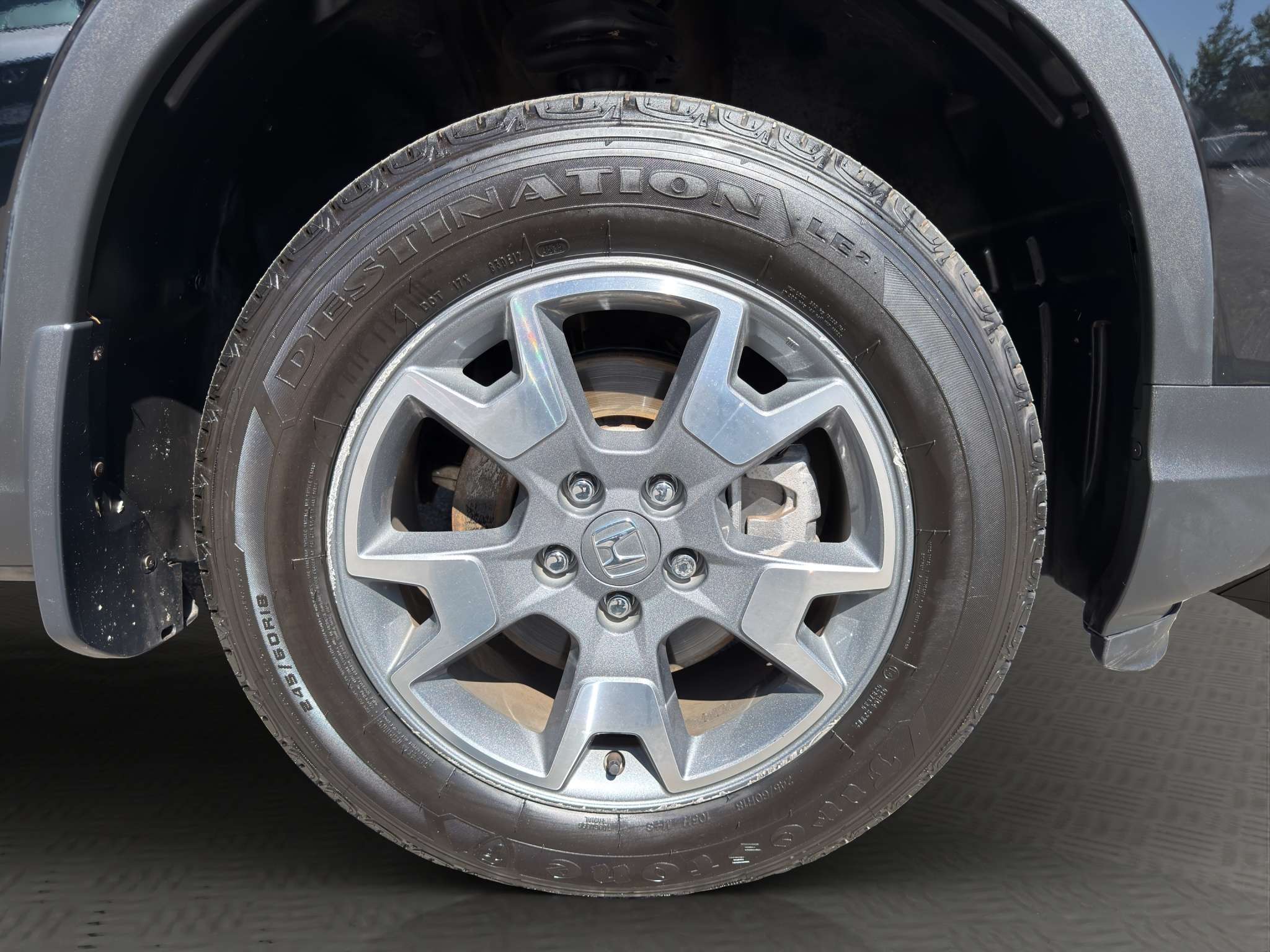 Image 8